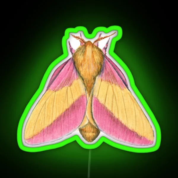 Rosy Maple Moth 2 Dryocampa Rubicunda RGB Neon Sign
