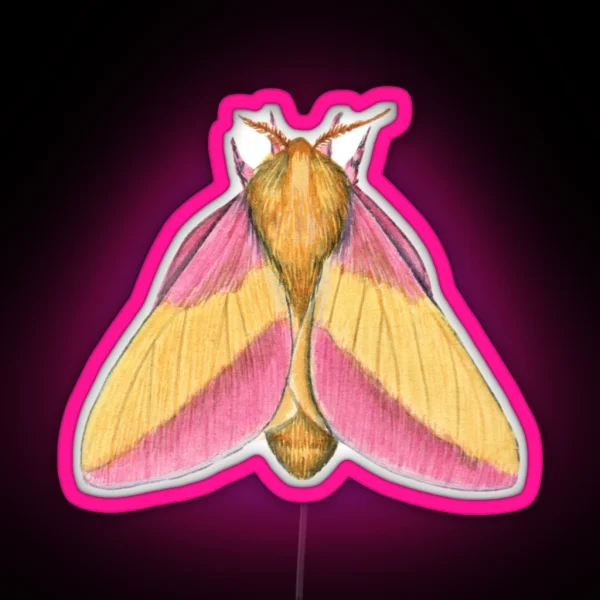 Rosy Maple Moth 2 Dryocampa Rubicunda RGB Neon Sign