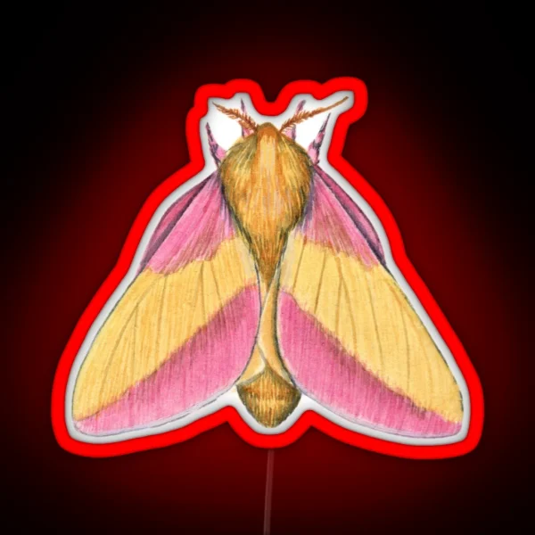 Rosy Maple Moth 2 Dryocampa Rubicunda RGB Neon Sign