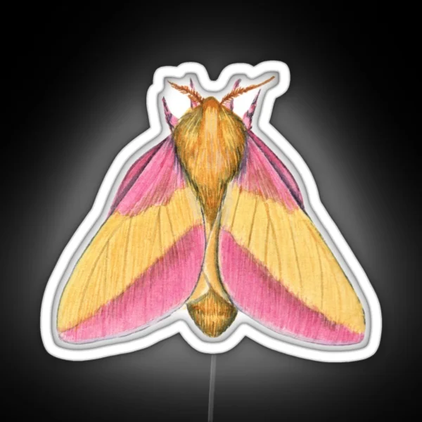 Rosy Maple Moth 2 Dryocampa Rubicunda RGB Neon Sign