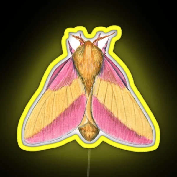 Rosy Maple Moth 2 Dryocampa Rubicunda RGB Neon Sign