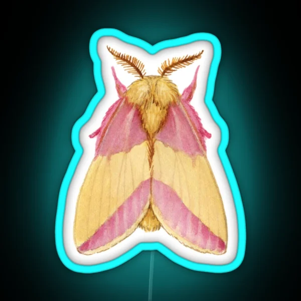Rosy Maple Moth Dryocampa Rubicunda RGB Neon Sign