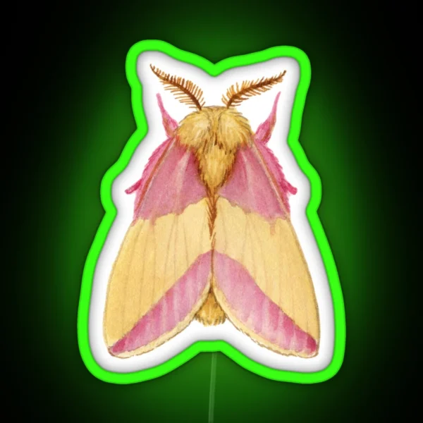 Rosy Maple Moth Dryocampa Rubicunda RGB Neon Sign