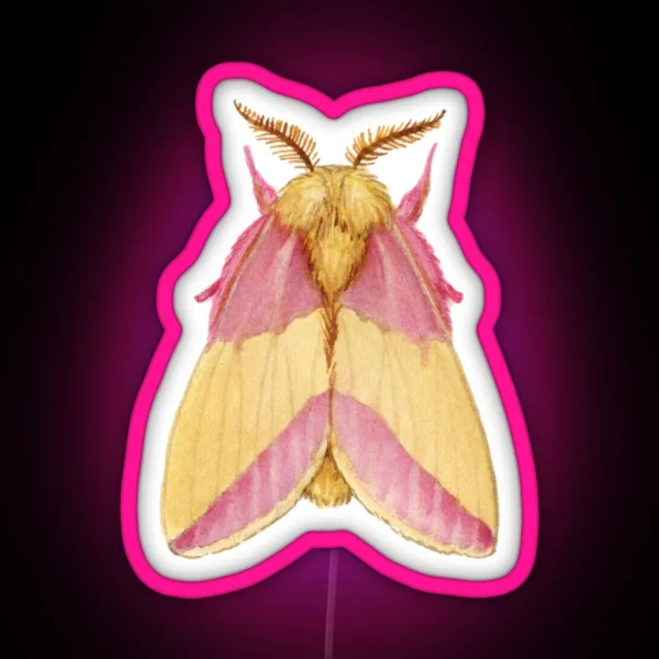 Rosy Maple Moth Dryocampa Rubicunda RGB Neon Sign