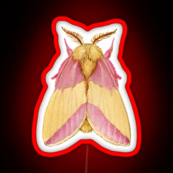 Rosy Maple Moth Dryocampa Rubicunda RGB Neon Sign