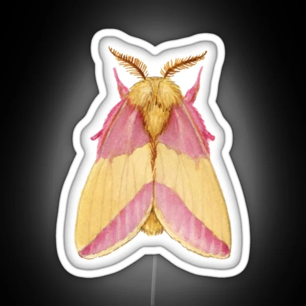 Rosy Maple Moth Dryocampa Rubicunda RGB Neon Sign