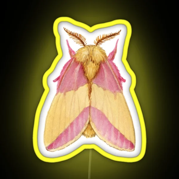 Rosy Maple Moth Dryocampa Rubicunda RGB Neon Sign