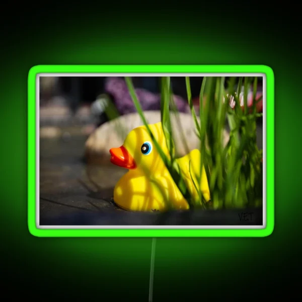 Rubber Ducky Hiding RGB Neon Sign