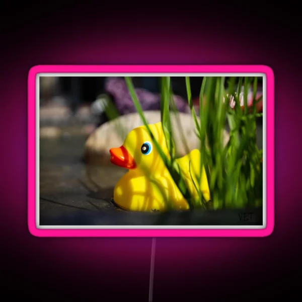 Rubber Ducky Hiding RGB Neon Sign