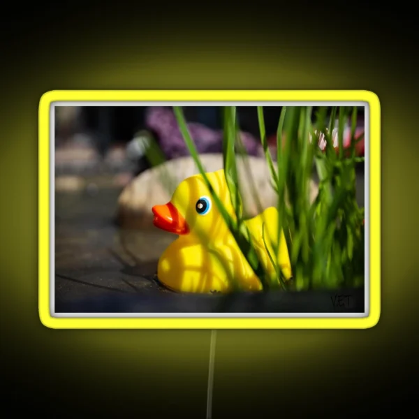 Rubber Ducky Hiding RGB Neon Sign