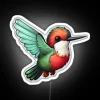 Ruby-throated Hummingbird Kawaii US Bird Inspired Art LED RGB Neon Sign