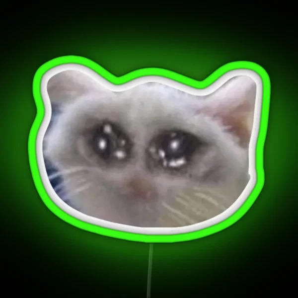 Sad Cat 2 RGB Neon Sign
