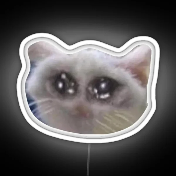 Sad Cat 2 RGB Neon Sign