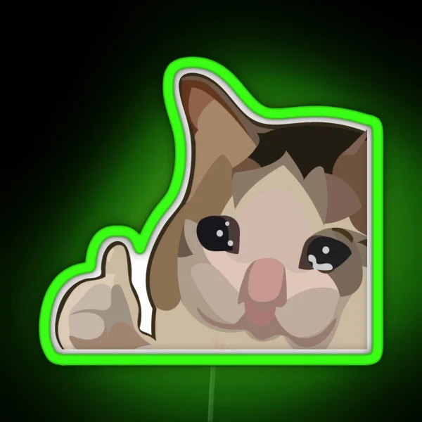 Sad Cat Meme Ok RGB Neon Sign