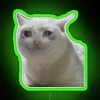 sad cat meme neon sign green