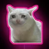 sad cat meme with rgb neon sign on pink background