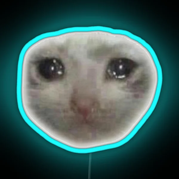 SAD CAT MEME RGB Neon Sign