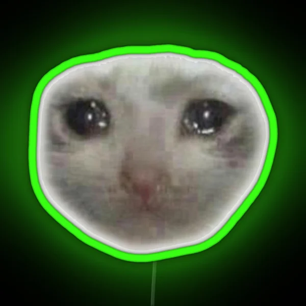 SAD CAT MEME RGB Neon Sign