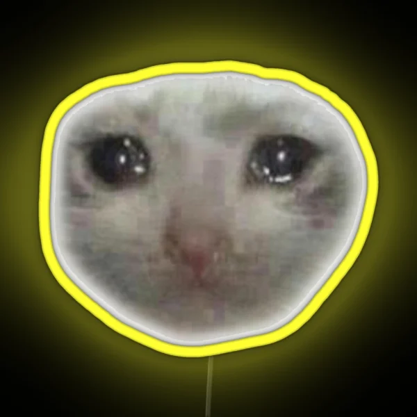 SAD CAT MEME RGB Neon Sign