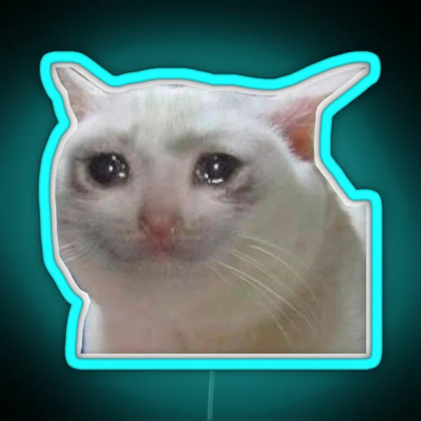 Sad Cat Meme RGB Neon Sign