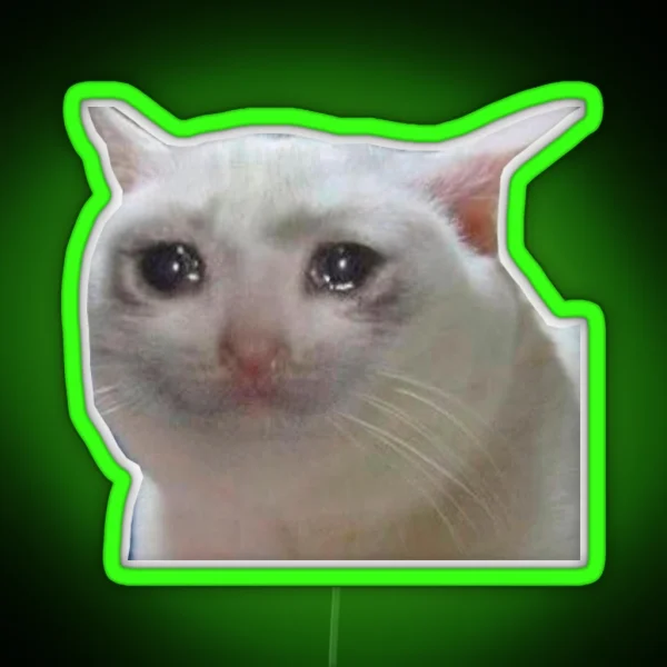Sad Cat Meme RGB Neon Sign
