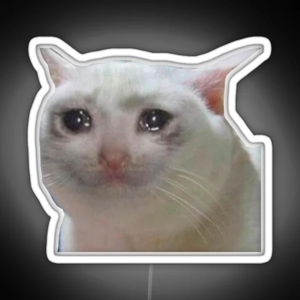 Sad Cat Meme RGB Neon Sign