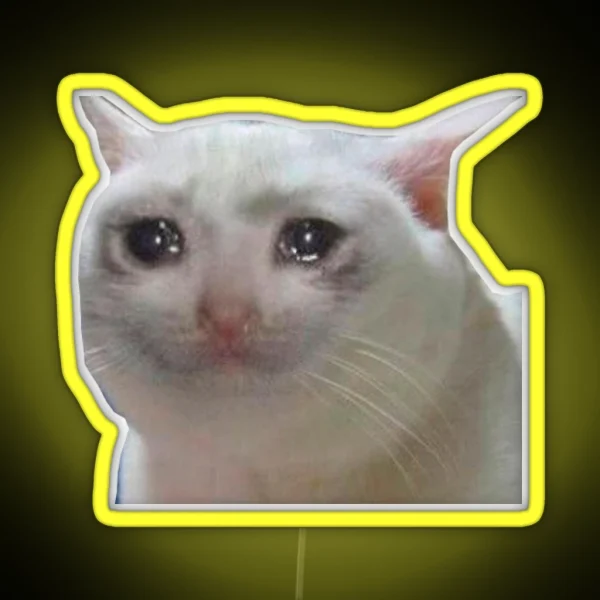 Sad Cat Meme RGB Neon Sign