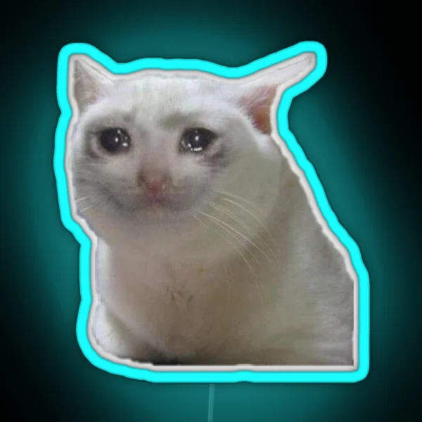 Sad Cat Meme RGB Neon Sign