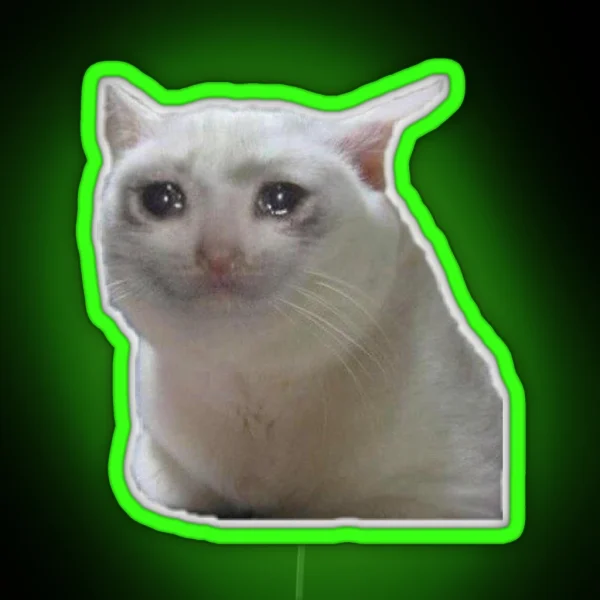 Sad Cat Meme RGB Neon Sign