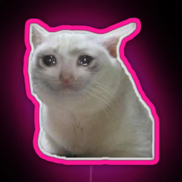 Sad Cat Meme RGB Neon Sign