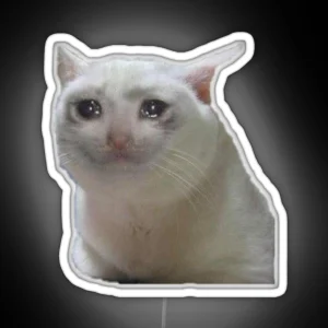 Sad Cat Meme RGB Neon Sign
