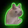 sad cat meme with neon rgb glow - green