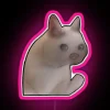 A sad cat meme with a vibrant RGB neon pink sign.