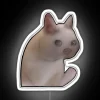 sad cat meme rgb neon sign white