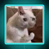 sad-cat-meme-neon-sign-blue-srgb.webp