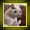 Sad Cat Meme Neon Sign in RGB Yellow