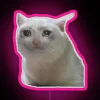 sad cat neon sign in vibrant pink