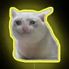 A neon sign displaying a sad cat in vibrant RGB colors.