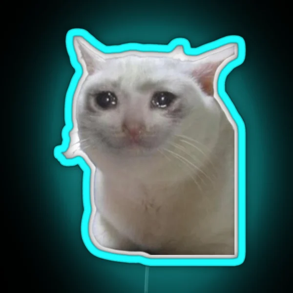 Sad Cat RGB Neon Sign