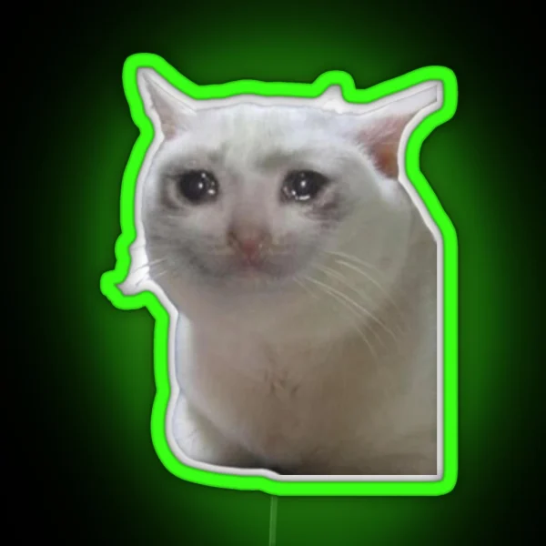 Sad Cat RGB Neon Sign