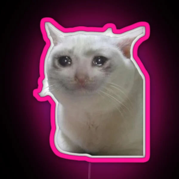 Sad Cat RGB Neon Sign
