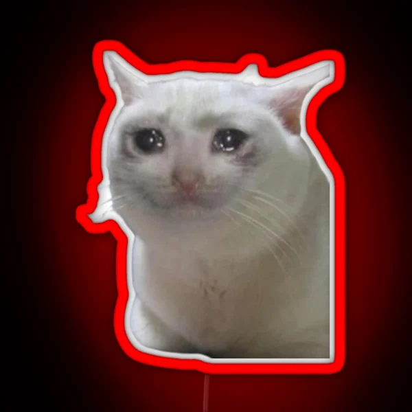 Sad Cat RGB Neon Sign