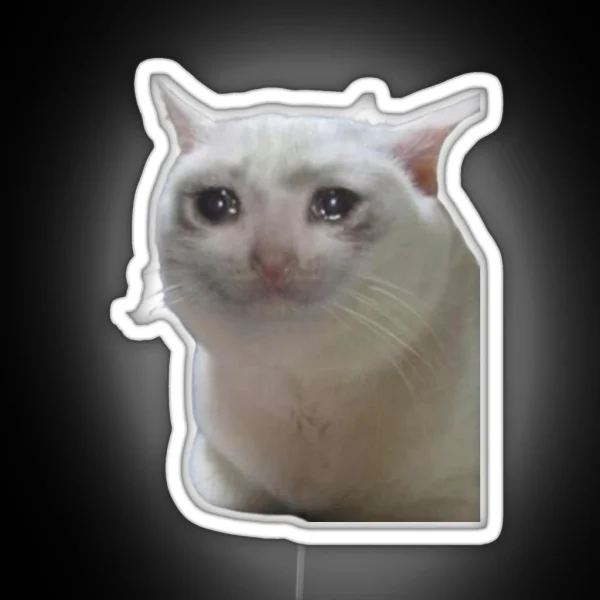 Sad Cat RGB Neon Sign