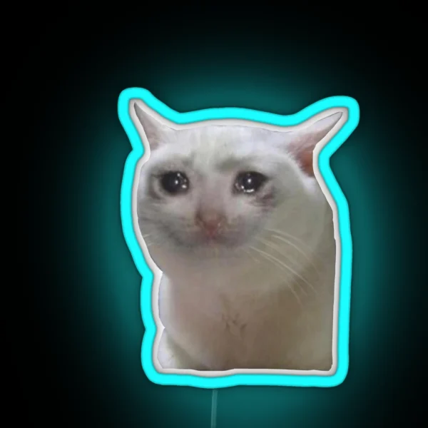 Sad Cat RGB Neon Sign