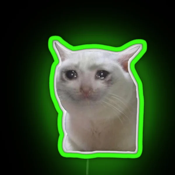 Sad Cat RGB Neon Sign