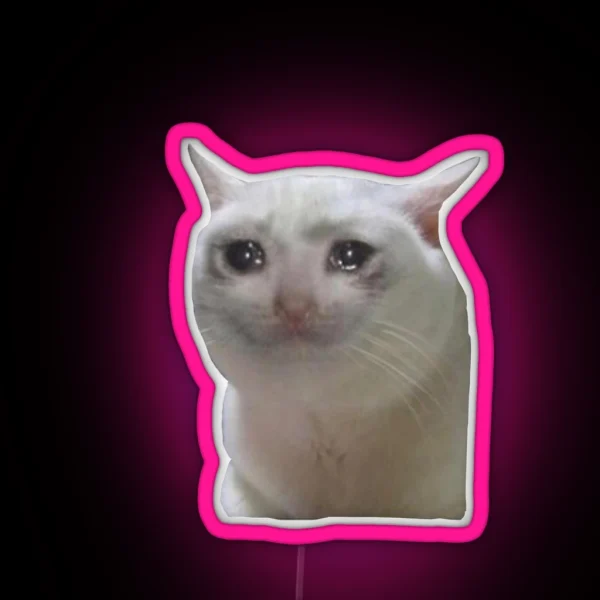 Sad Cat RGB Neon Sign