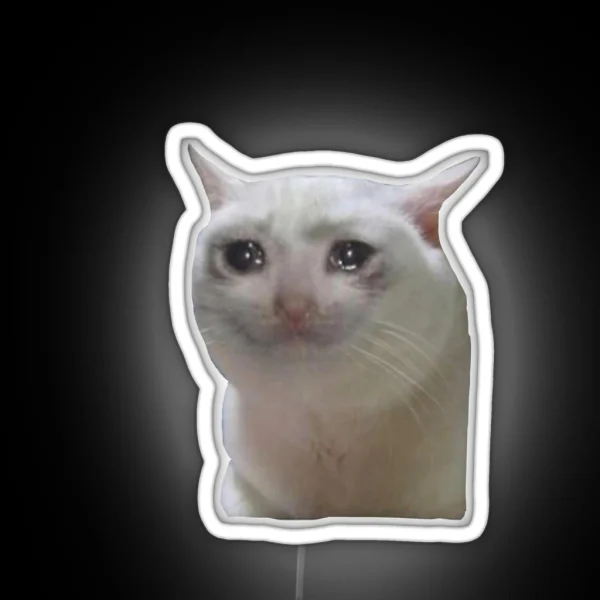 Sad Cat RGB Neon Sign