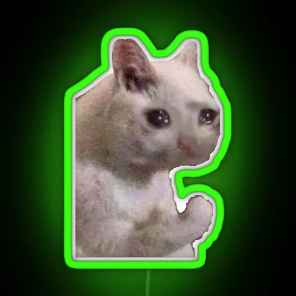 Sad Cat RGB Neon Sign