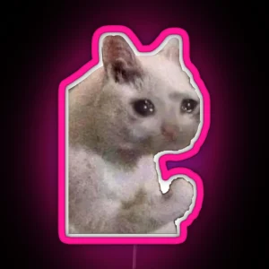 Sad Cat RGB Neon Sign