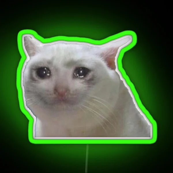 Sad Cat RGB Neon Sign